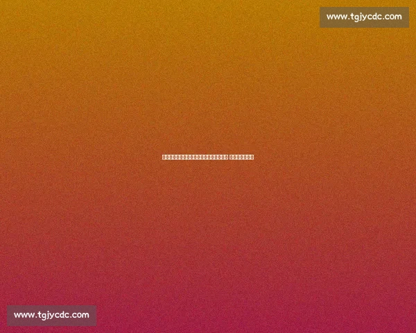 国足新星双线闪耀：王博豪荷乙首秀获高分 比甲路径启新篇