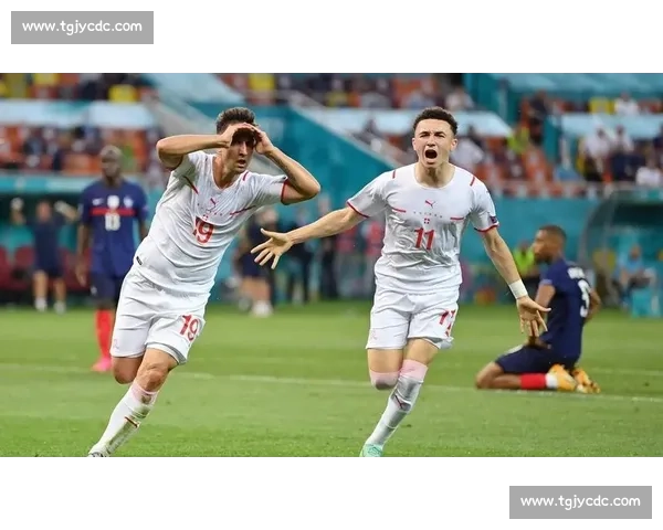 法国vs瑞士焦点对决解析欧洲足坛格局变数之战术博弈与实力碰撞