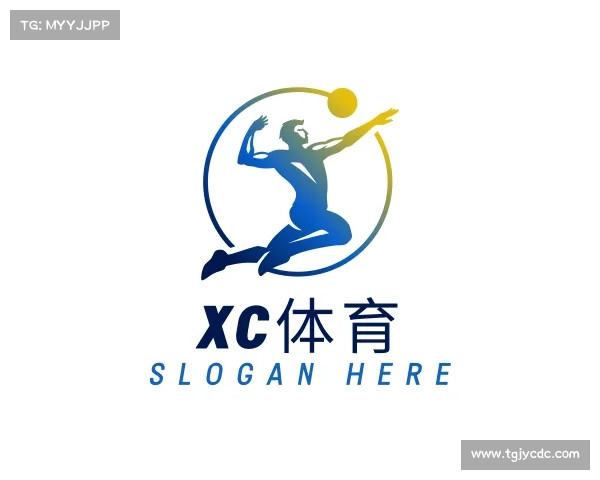 解读xc体育